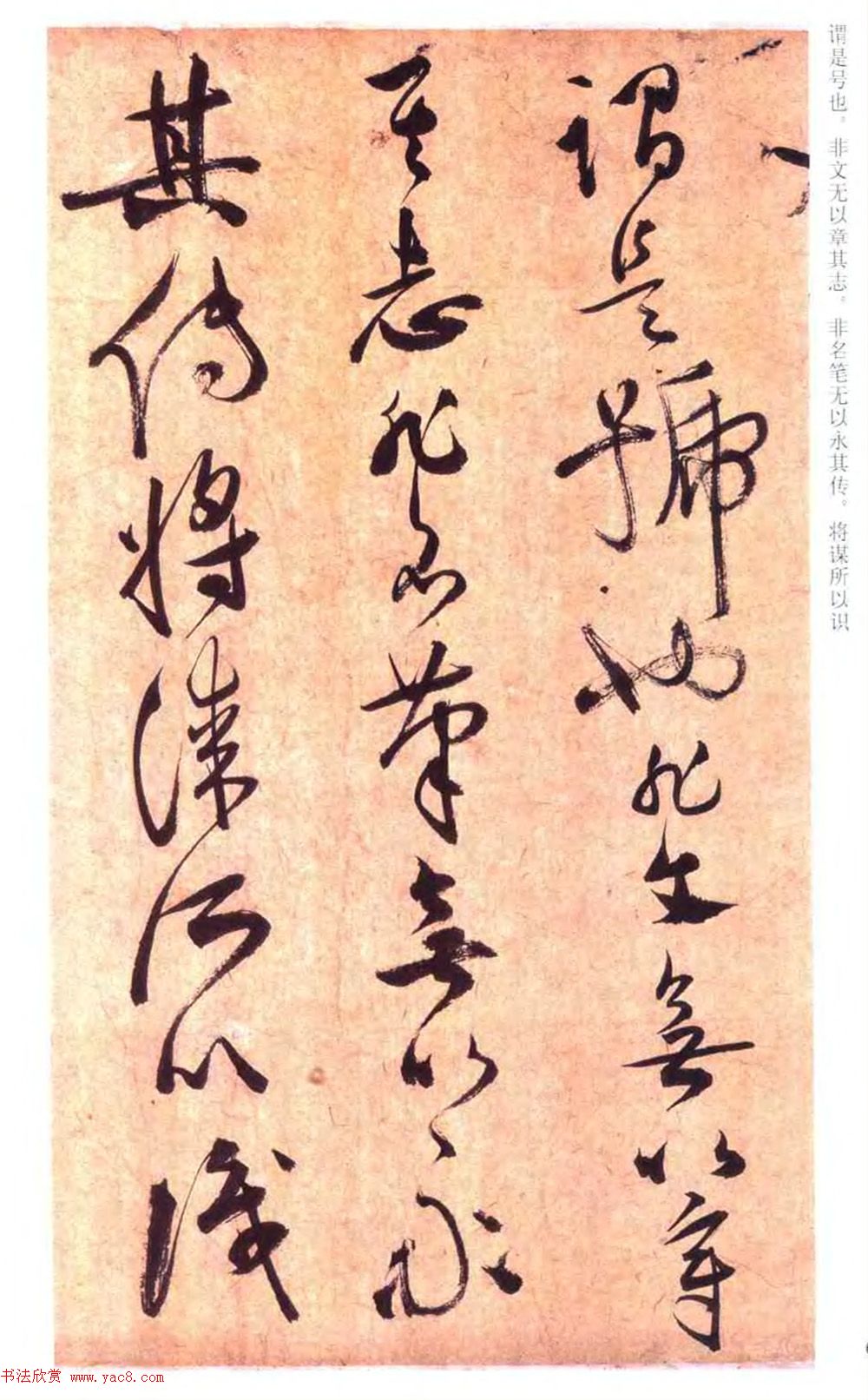 祝允明草书书法赏析《云江记》